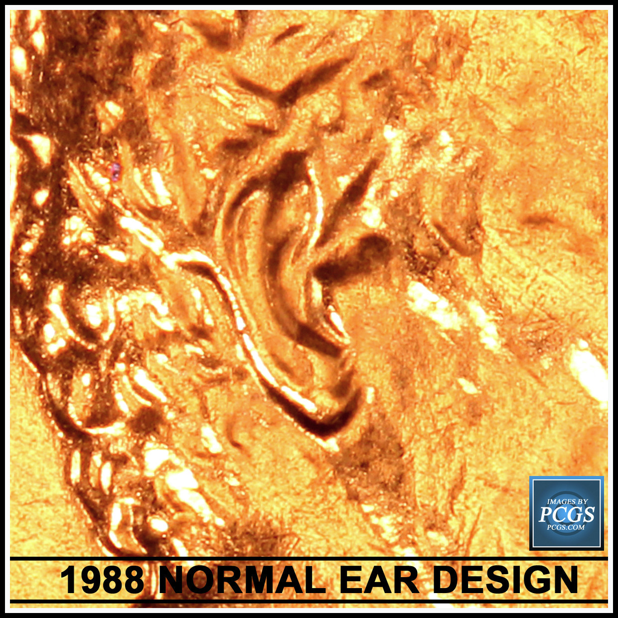 1988-Lincoln-Cent-Doubled-Ear?