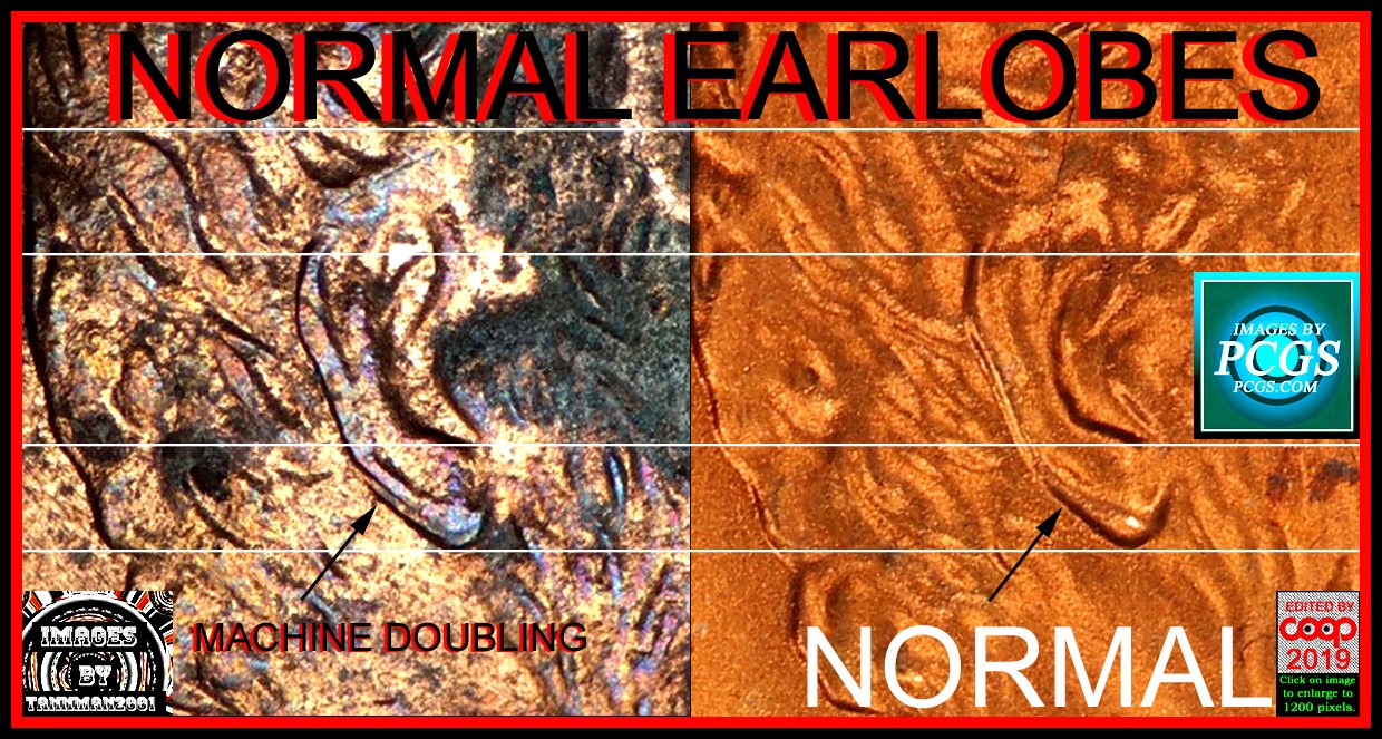 Big-Discovery?-1995-LMC-Doubled-Ear-Found