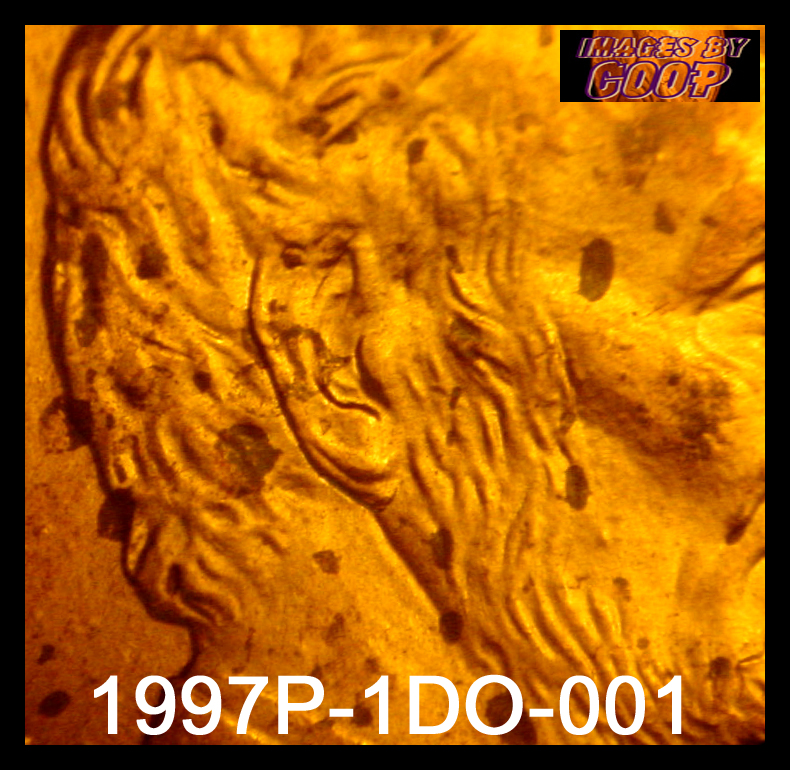 1997-Lincoln-Dbl-Ear-?