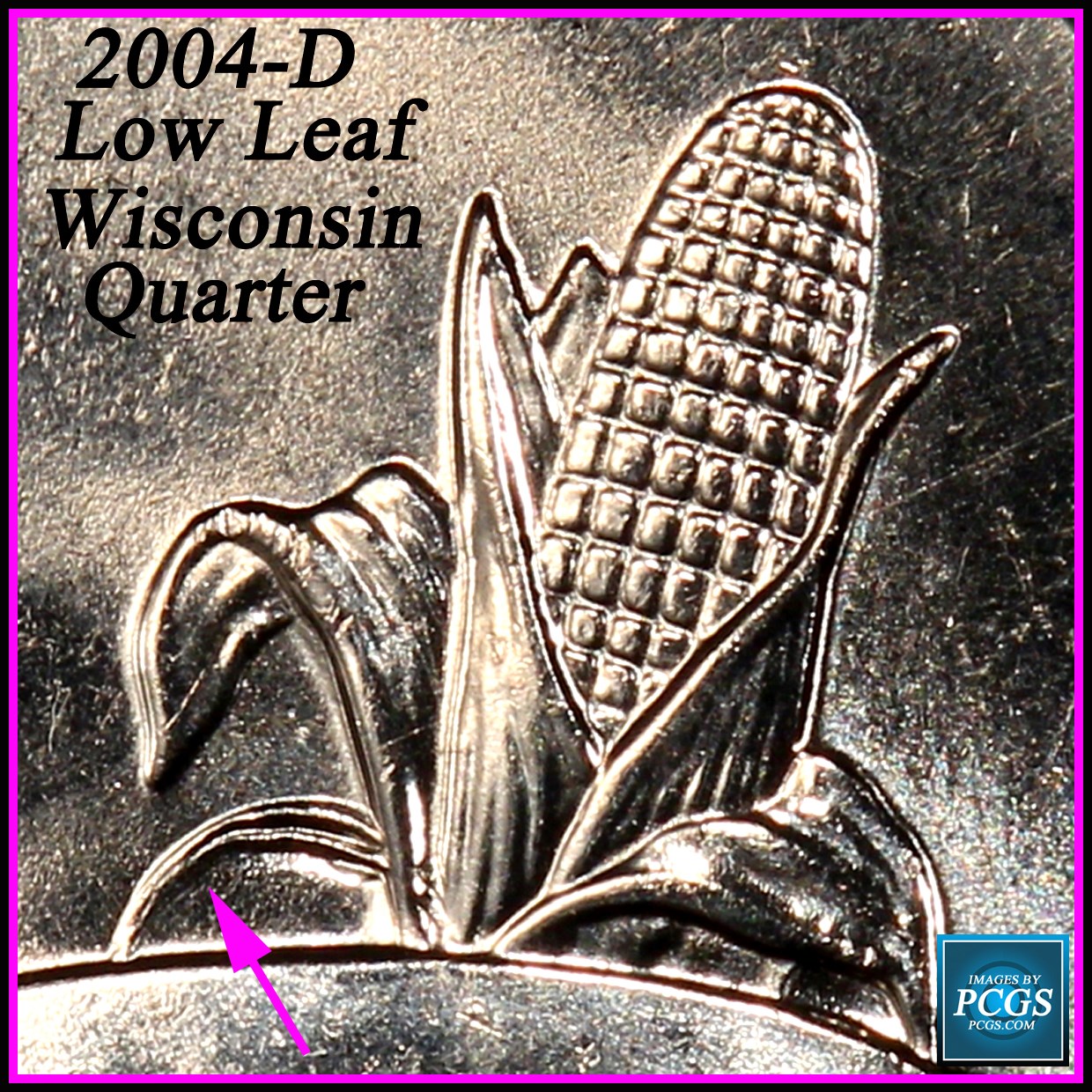 Received-This-Wisconsin-25c-In-Change-Today,-Input-On-Extra-Leaf-?