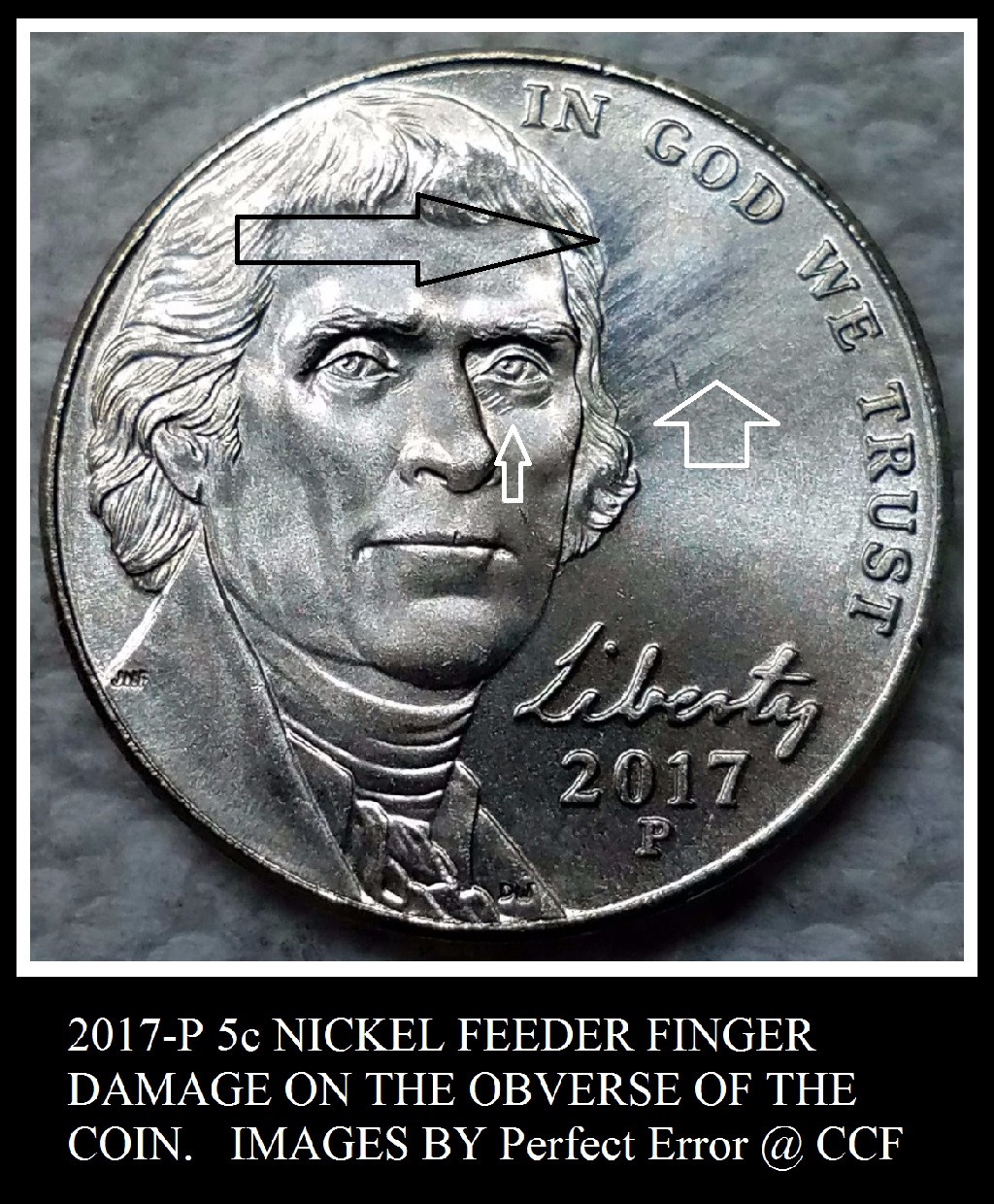 Feeder-Finger-Damage:-What-Does-It-Look-Like?
