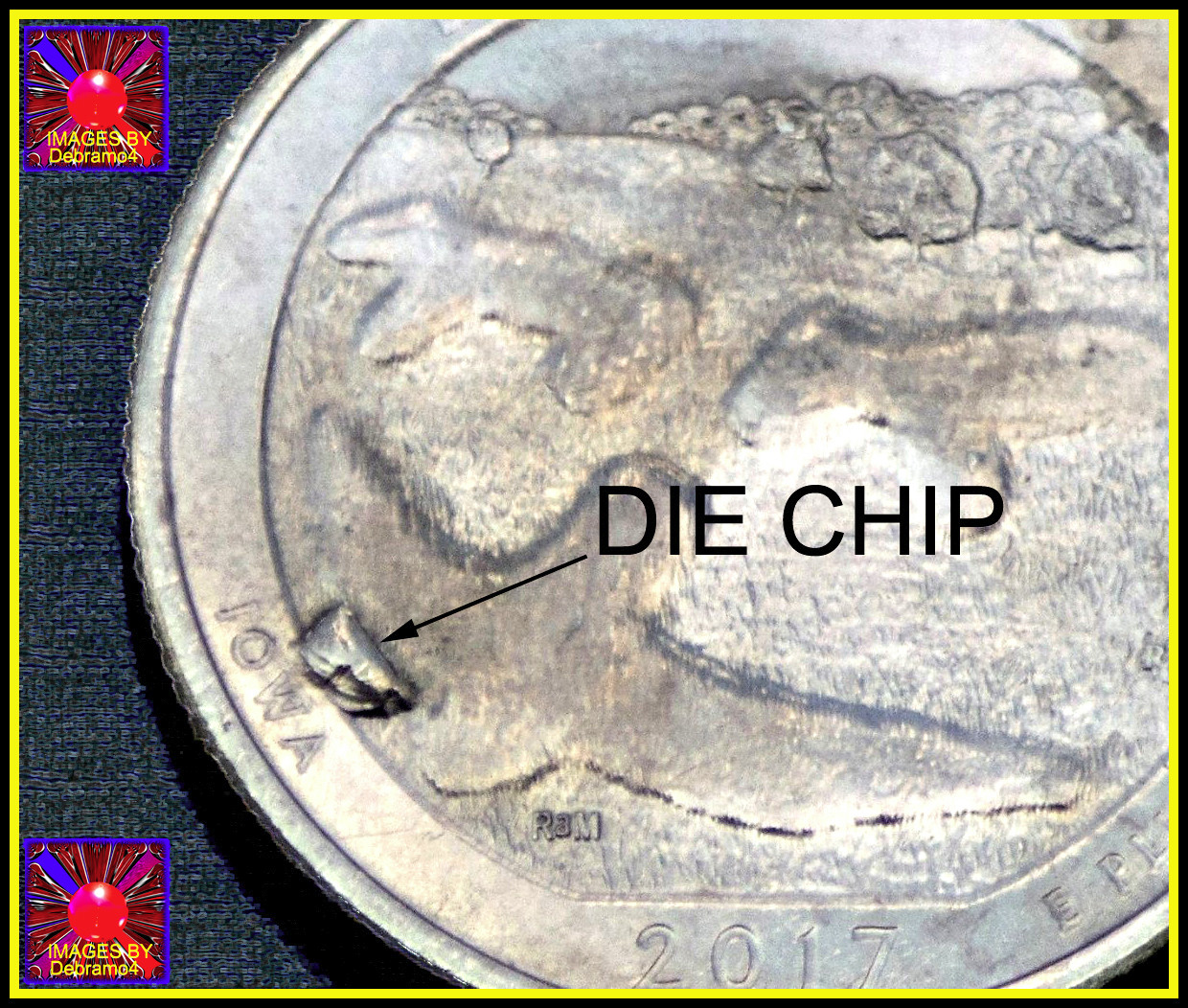Curious-1955-LWC-W-Chips