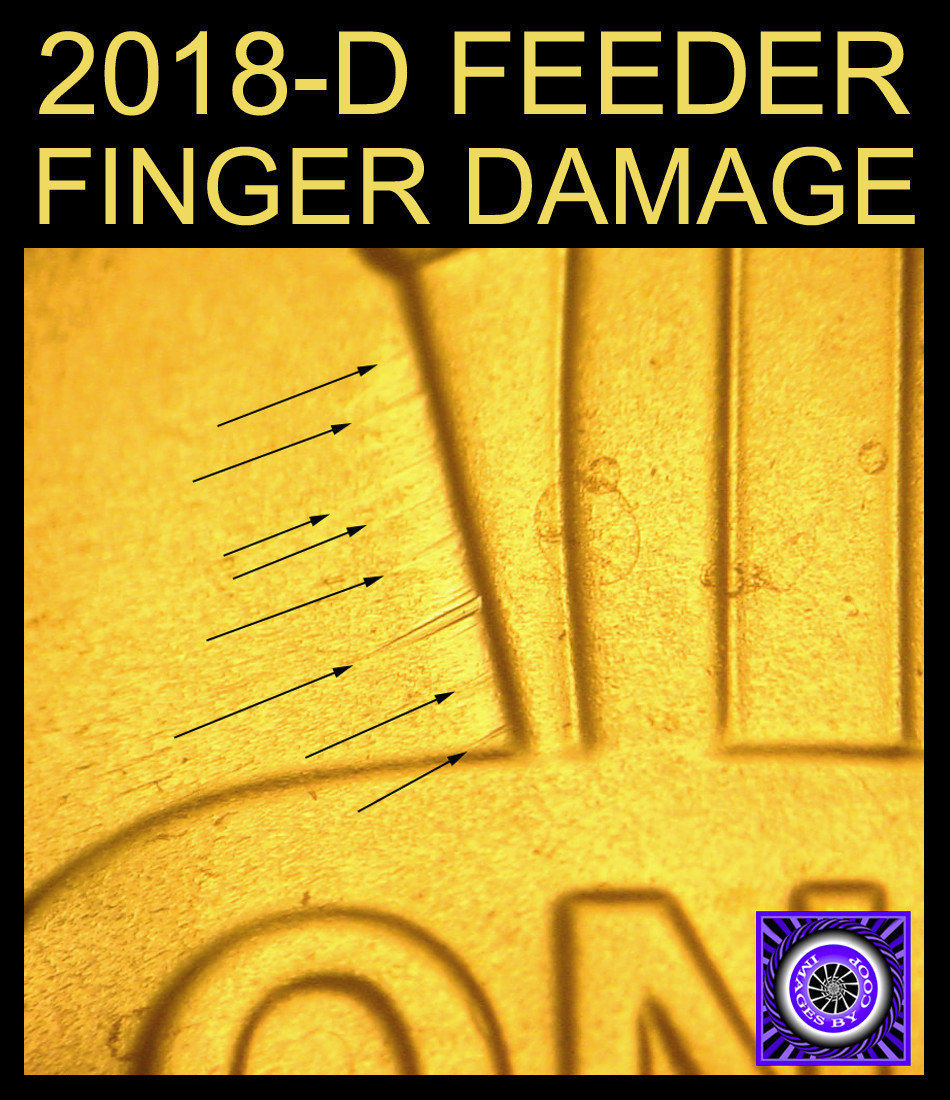 Feeder-Finger-Damage:-What-Does-It-Look-Like?