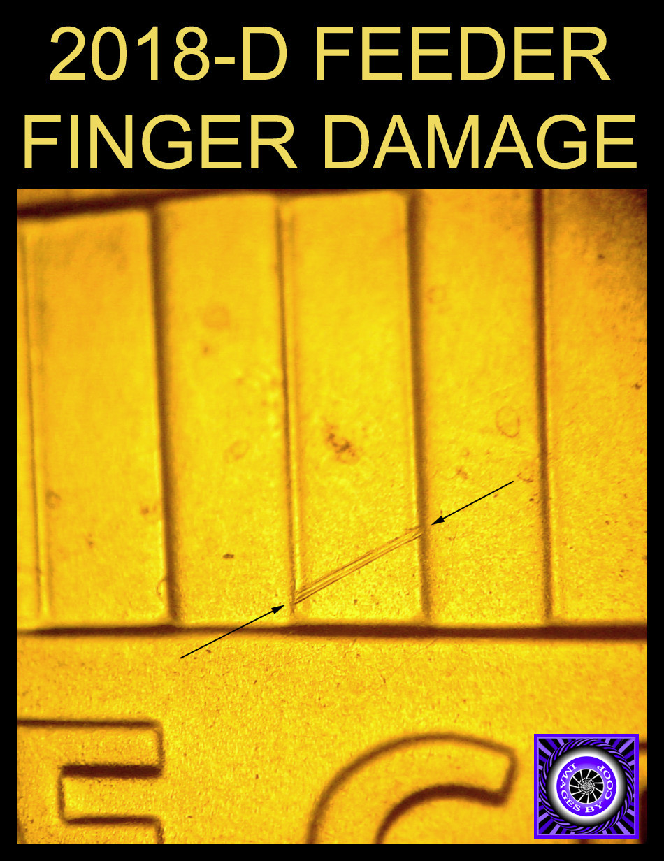 Feeder-Finger-Damage:-What-Does-It-Look-Like?
