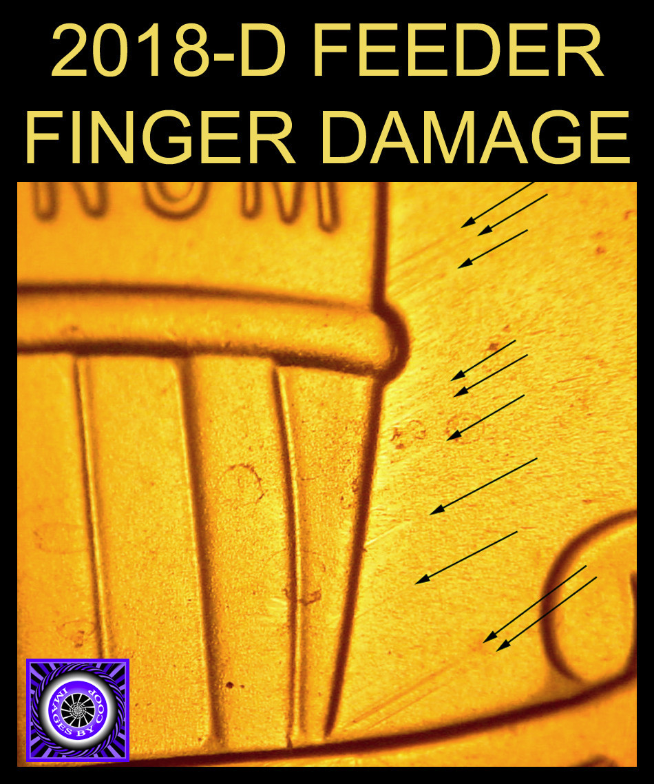 Feeder-Finger-Damage:-What-Does-It-Look-Like?
