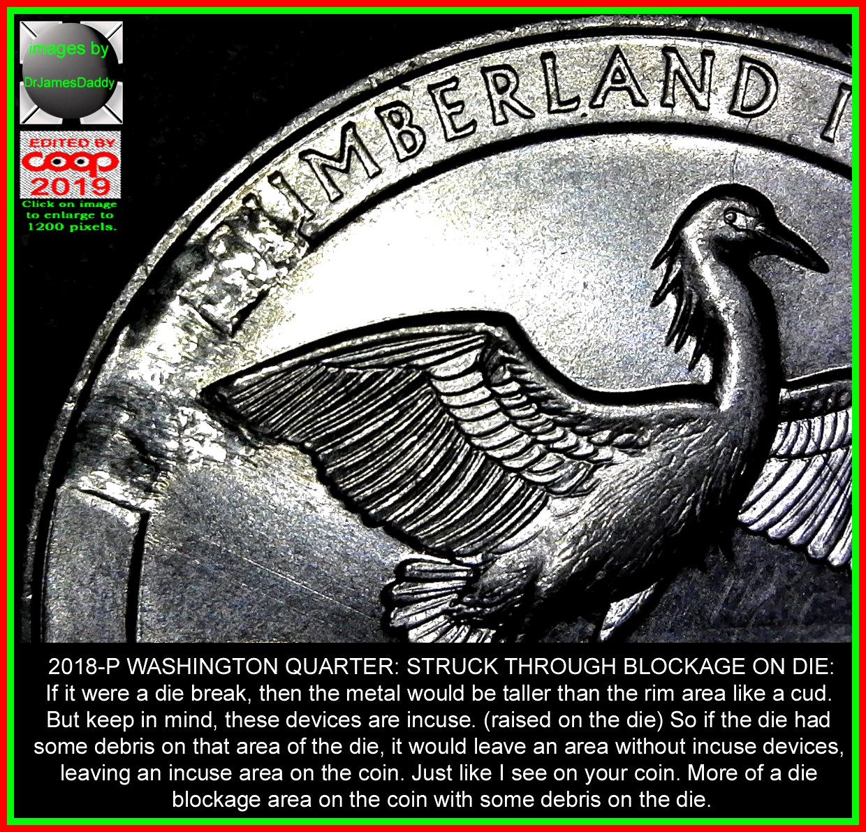 2018-ATB-Quarter:-Cumberland-Island-Die-Break?