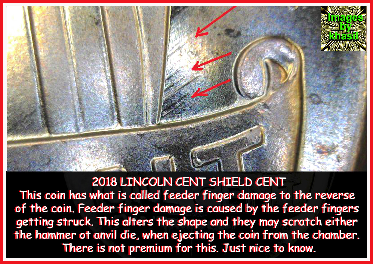 Feeder-Finger-Damage:-What-Does-It-Look-Like?
