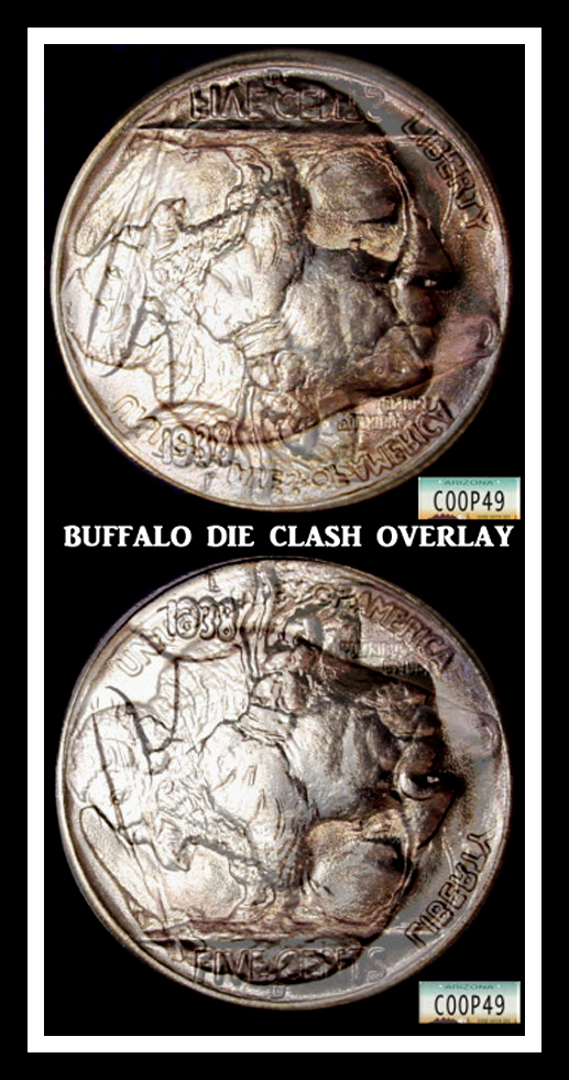 Coinberts-Simple-Buffalo-Post-Roams?