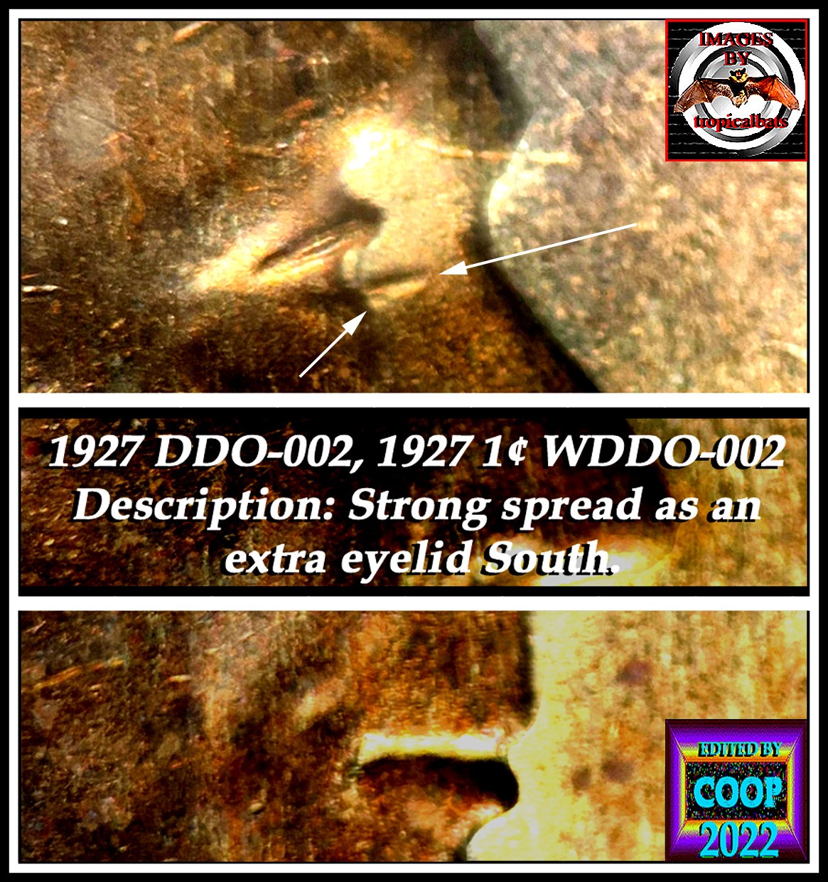 1927-Lincoln-Wheat-Cent-Doubled-Die---DDO-002