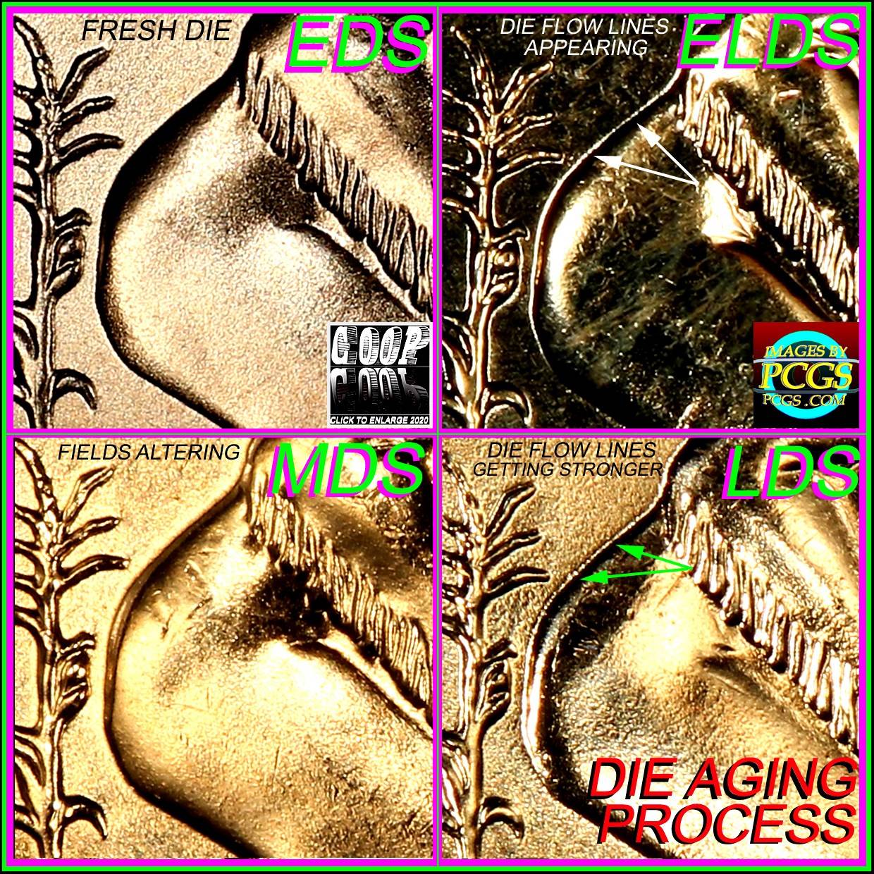 2009-P-Sacagawea-Possible-Die-Chip?...