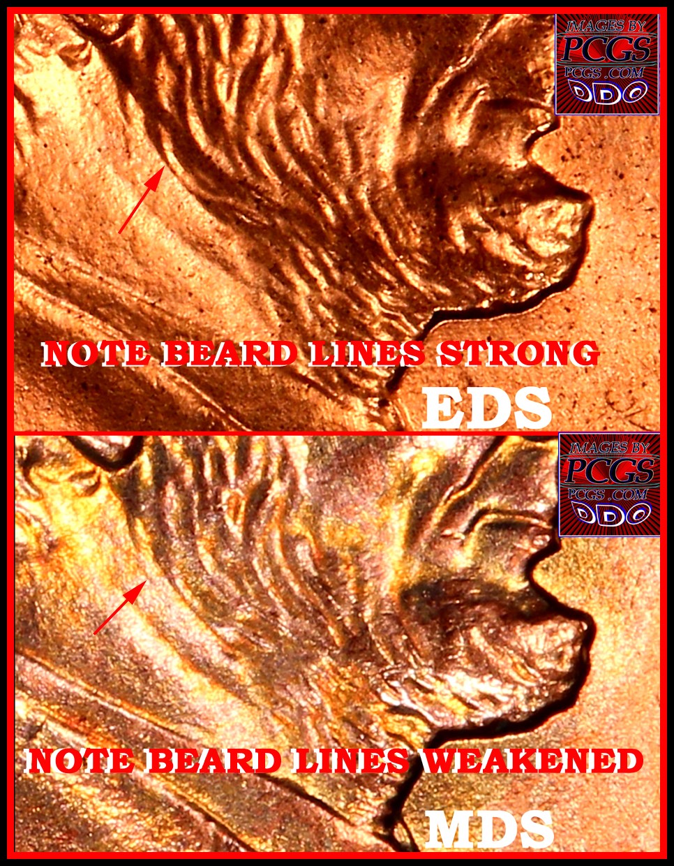 2006-LMC-DDO-004-FS-101-Found