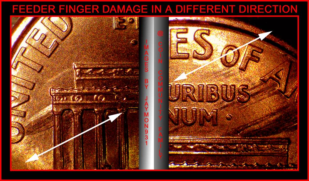 Feeder-Finger-Damage:-What-Does-It-Look-Like?