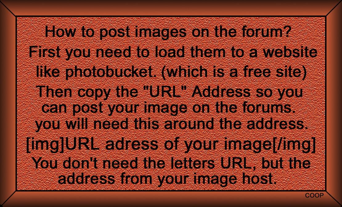 Please-Explain-How-To-Upload-My-Image