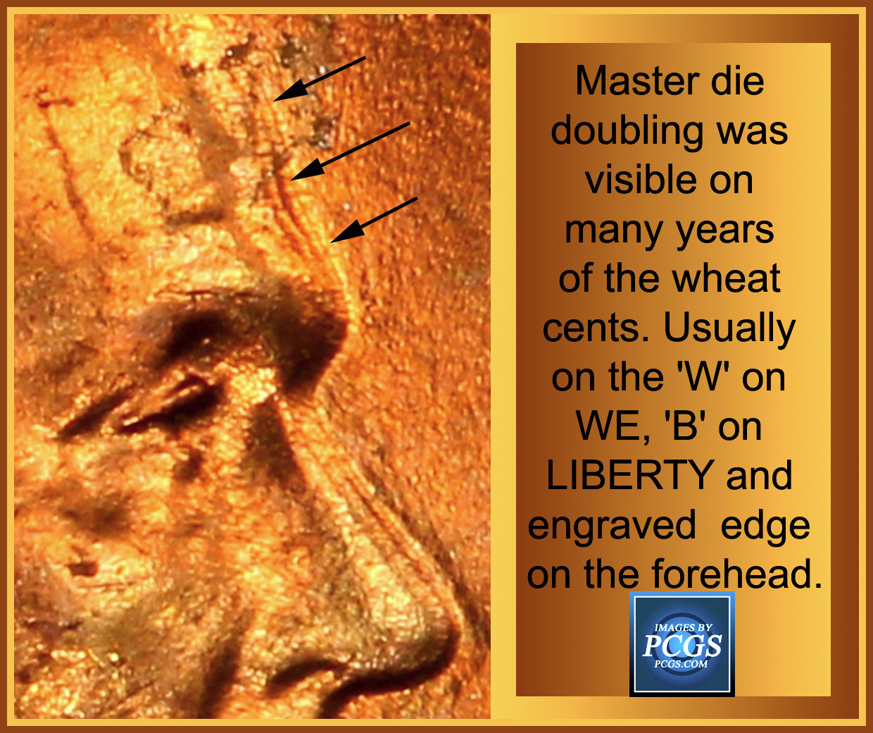 Educational-Images-For-Description-Of-Coin-Findings.-Over-500-Images