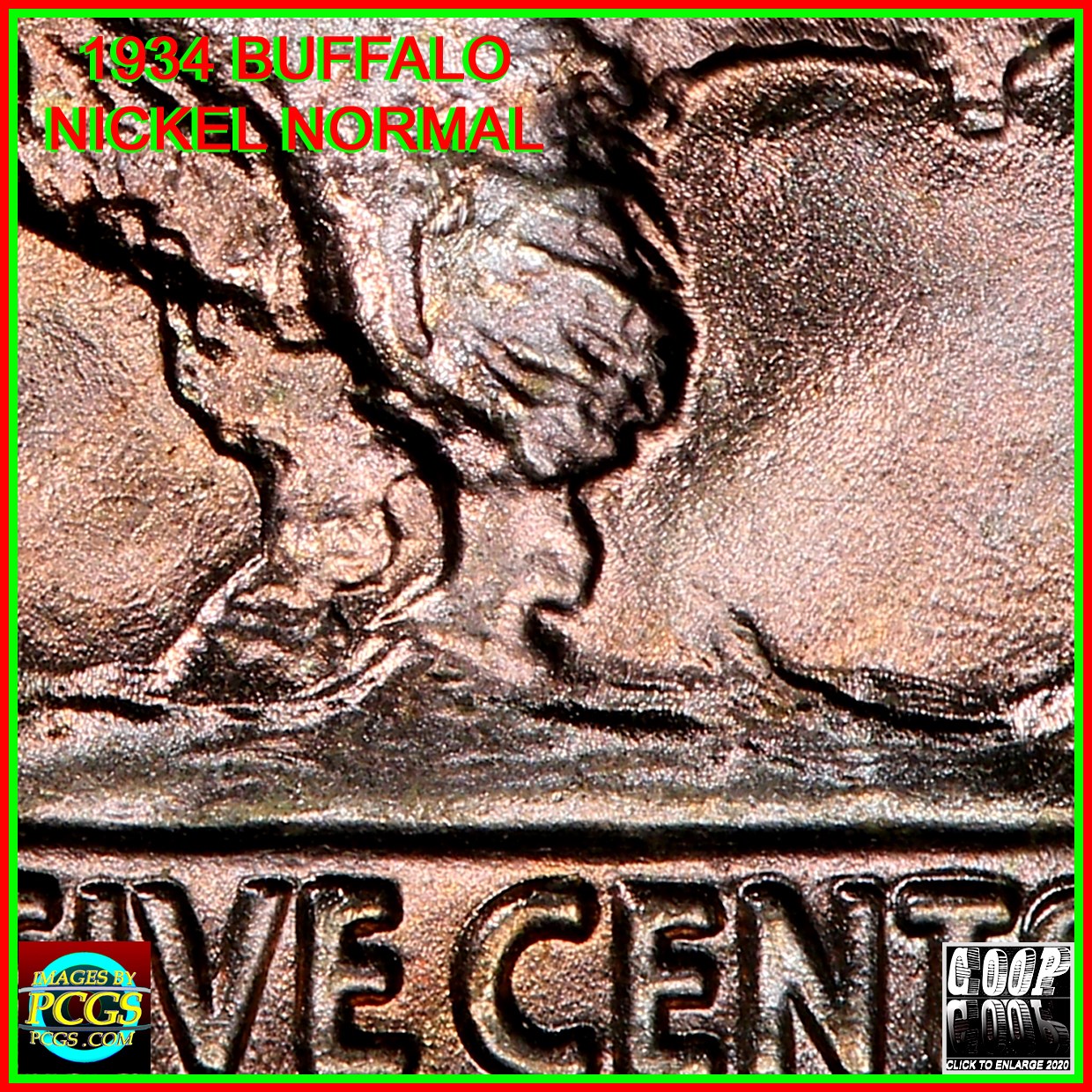 1934-Buffalo-Nickel-DDR.....let's-Hope