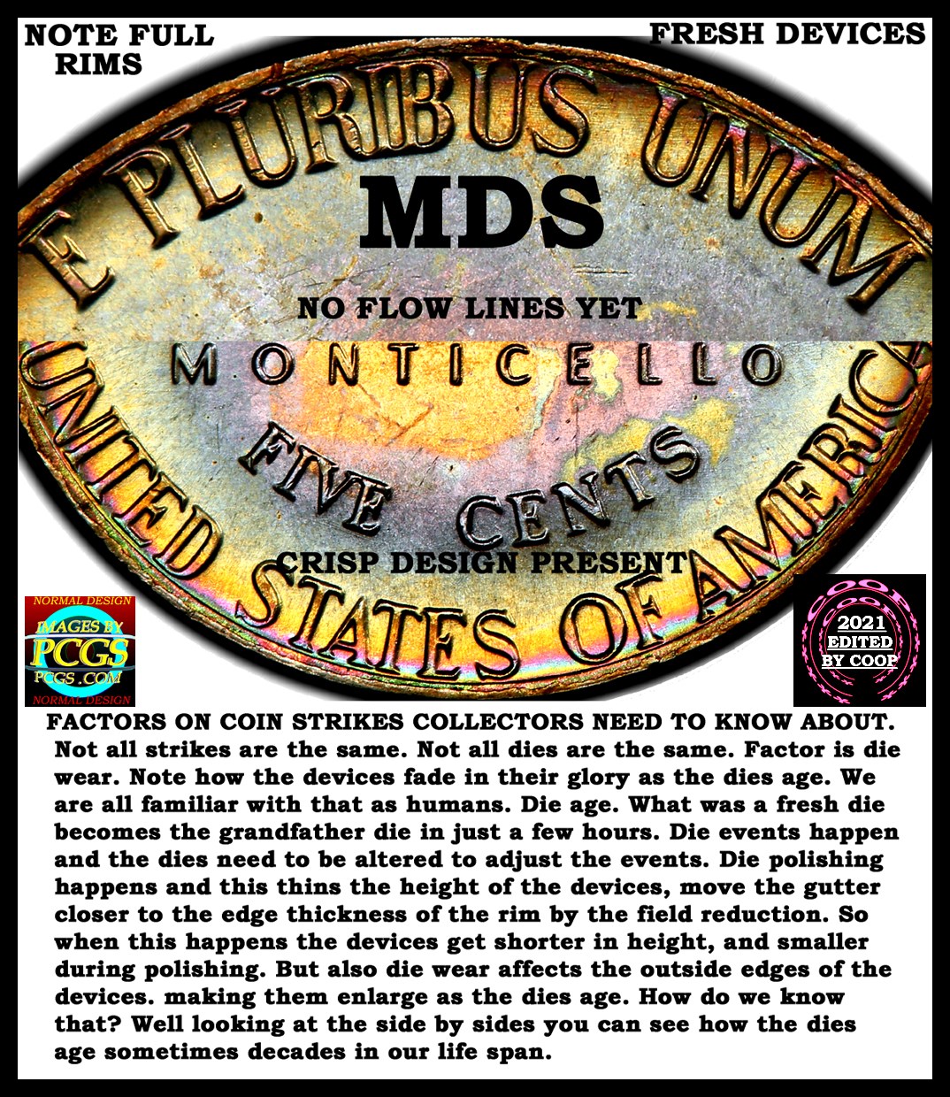 1975-D-Nickel-Need-Opinion-On-Obverse-And-Reverse-Side