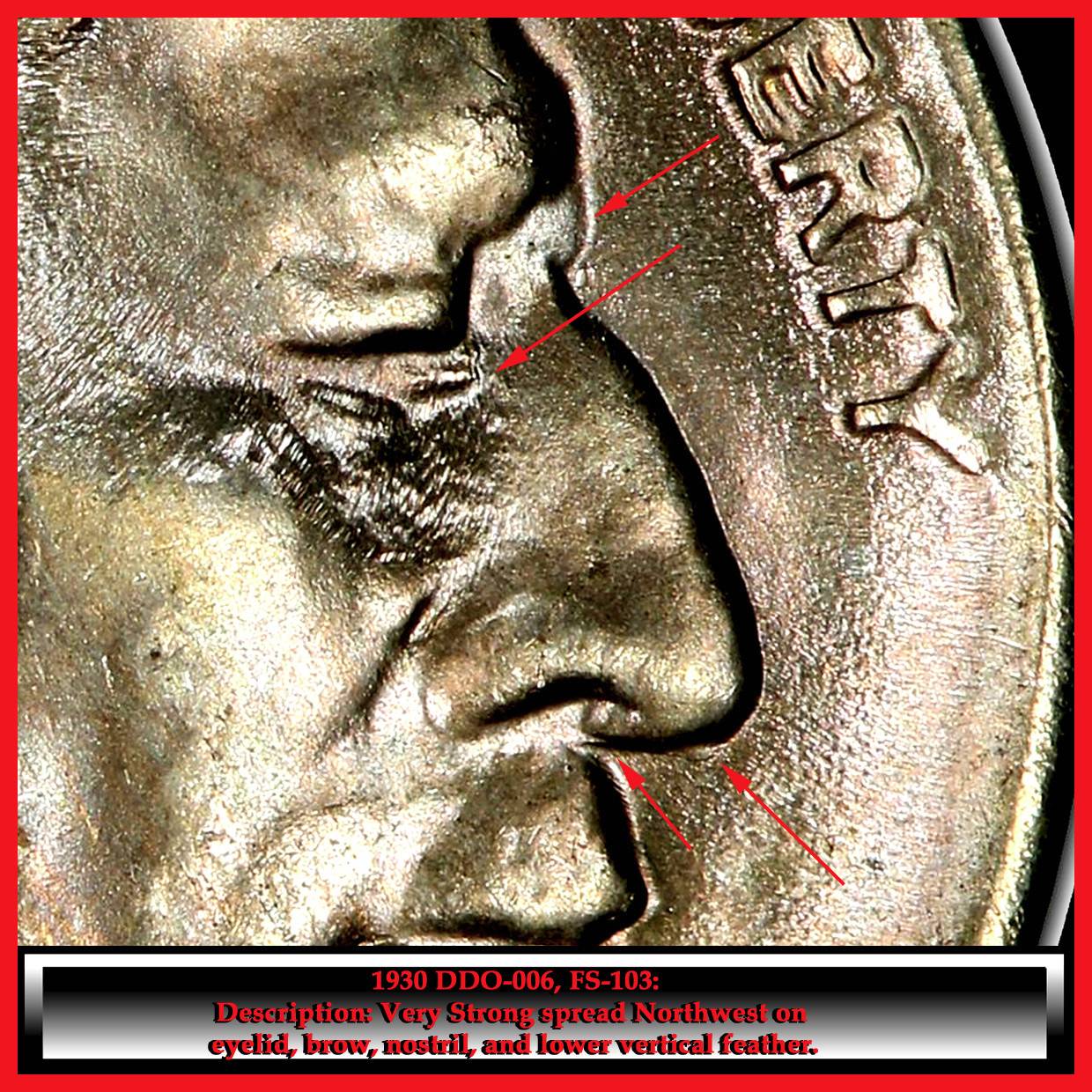 1930-P-Buffalo-Nickel-DDO?
