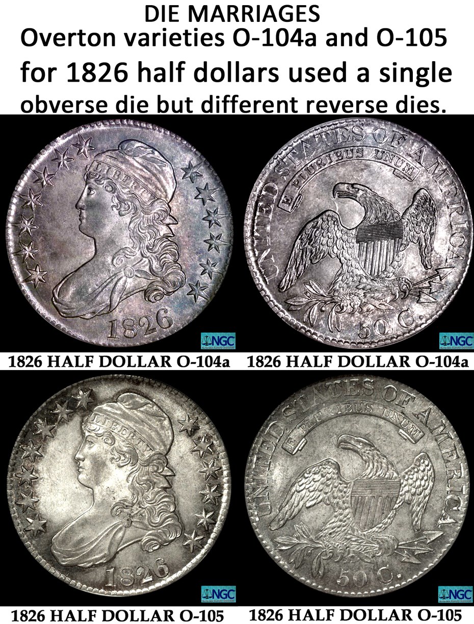 Educational-Images-For-Description-Of-Coin-Findings.-Over-500-Images