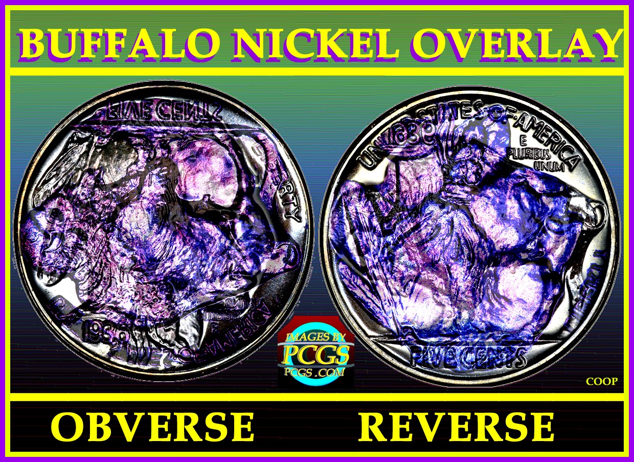 Buffalo-Nickel-Die-Clash-Error?