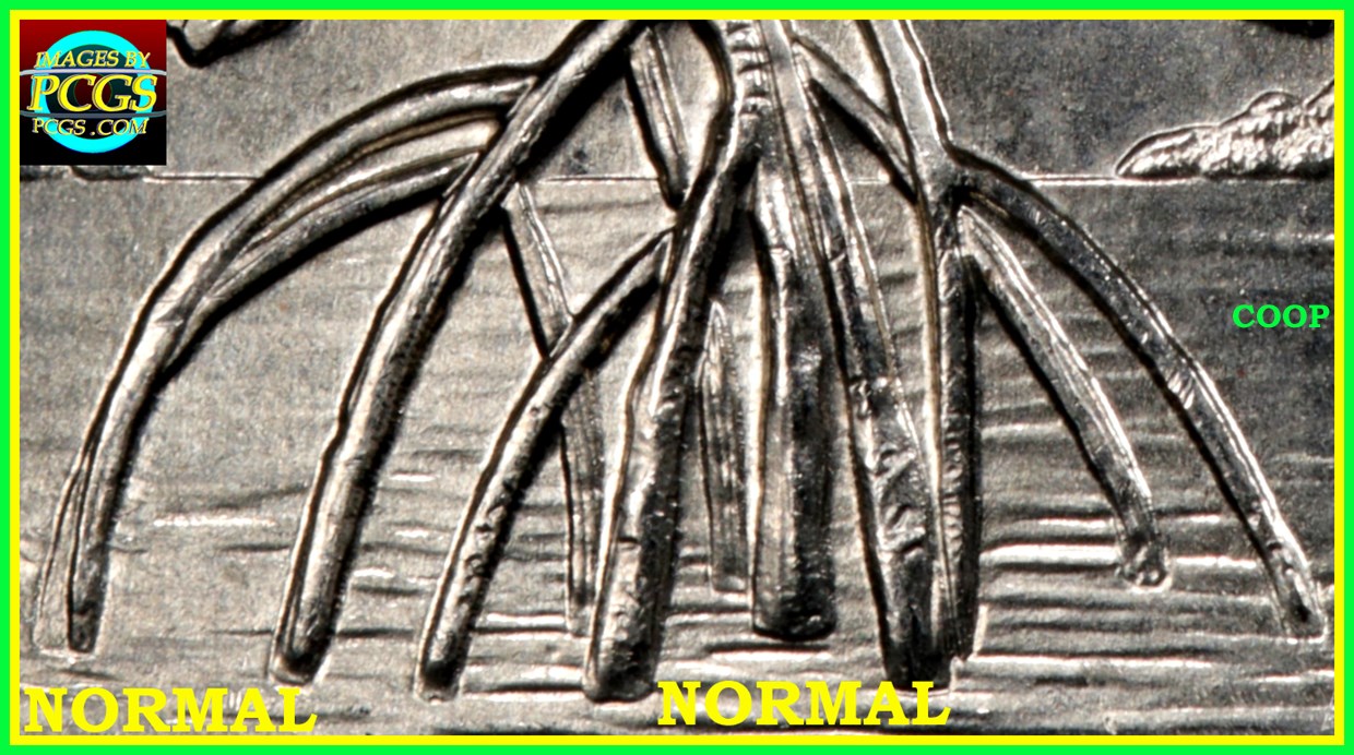 2020-Salt-River-Bay-Quarter--Doubling