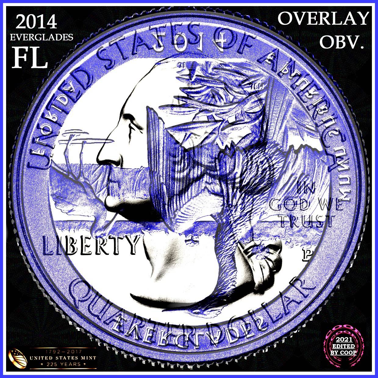 I-Need-Help-With-An-Overlay-Of-A-2014-Everglades-Quarter?--Please-Help