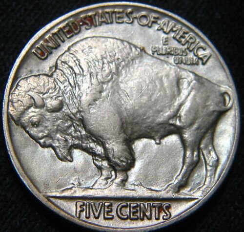Type-Set-Needs-A-Nice-Buffalo!