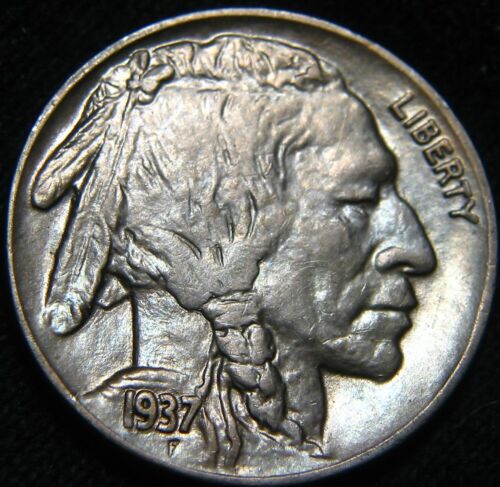 Type-Set-Needs-A-Nice-Buffalo!