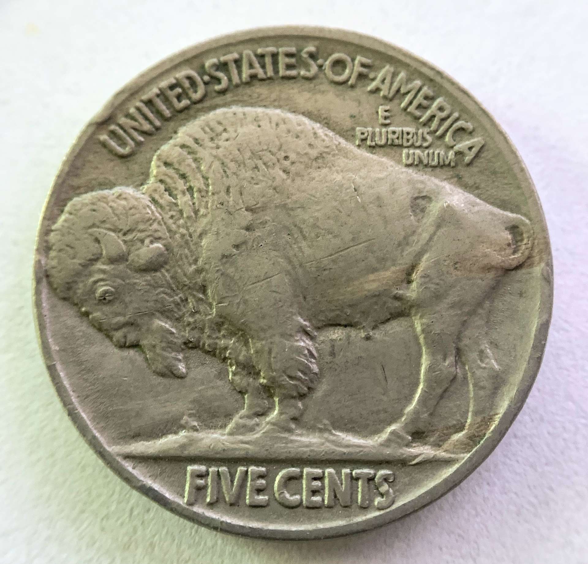 1916-Buffalo-Need-Grading-Opinions