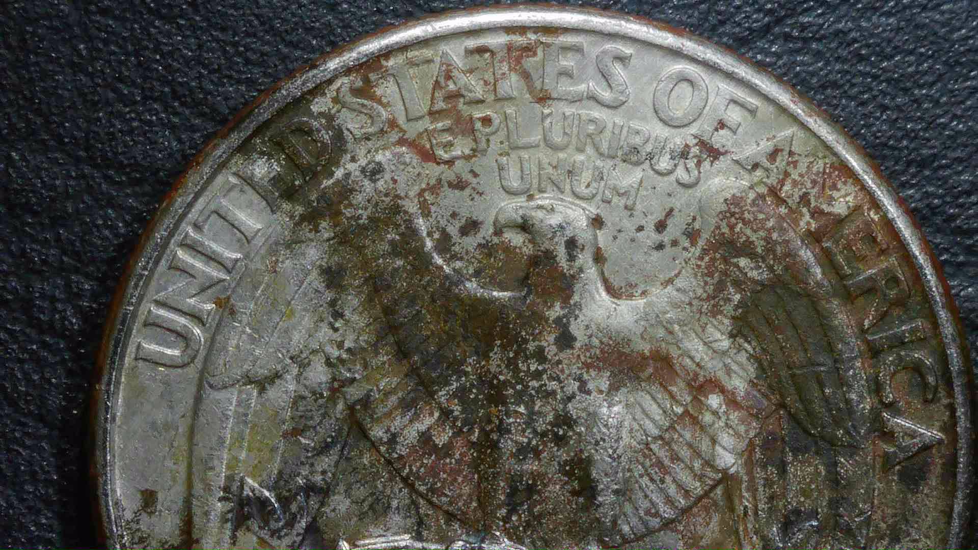The-Beast.-1996-Washington-Quarter