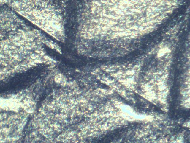 2021-W-Silver-Eagle-T-2-Die-Scratches
