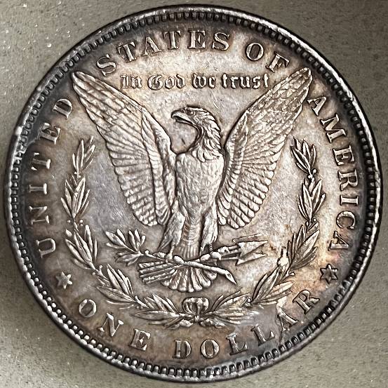1882-Morgan-For-Grading:--Cull-Or-Keepsake-?