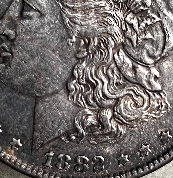 1882-Morgan-For-Grading:--Cull-Or-Keepsake-?