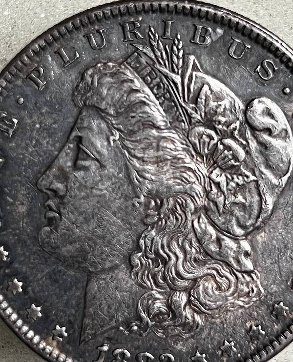 1882-Morgan-For-Grading:--Cull-Or-Keepsake-?