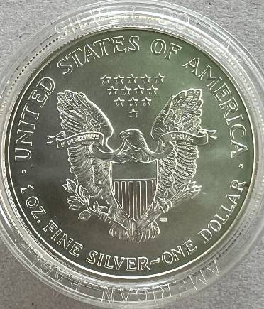 Did-The-Mint-Package-&-Sell-Eagle-Bullion-Coins-As-