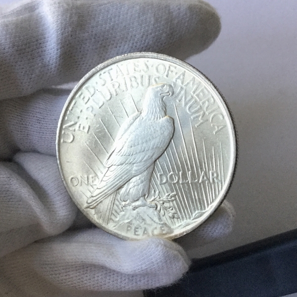 Beautiful-1923-Peace-Dollar---Possible-Bu?