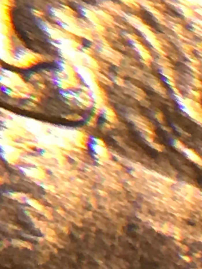 2003-Lincoln-Cent,-Die-Chip-Or-DDO-Of-The-Ear?