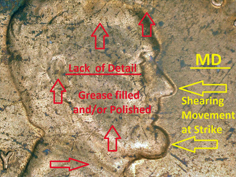 Put-Your-USB-Microscope-To-The-Test.