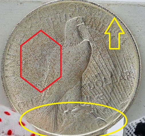 1928-Peace-Dollars,-On-Ebay.-These-Are-Fake-I'm sure.