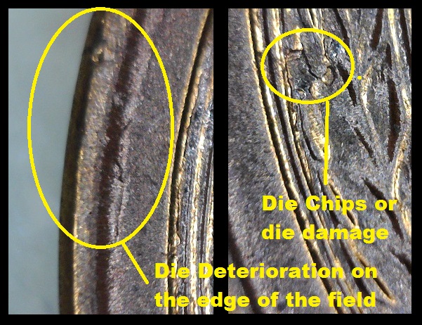 1955-D-LWC-Is-This-A-Lamination-Issue?