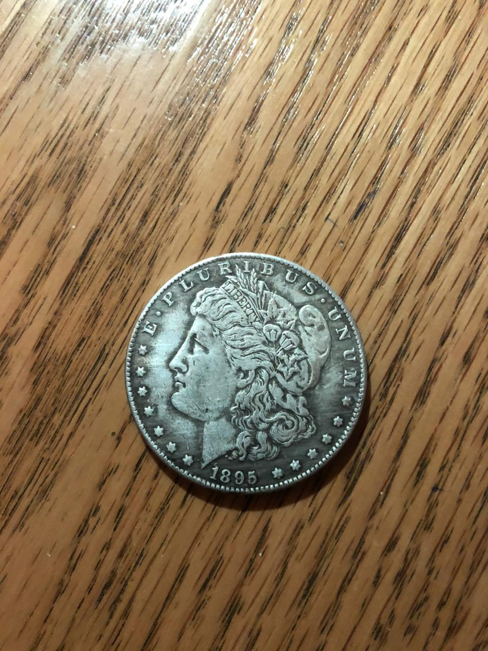 O-Morgan-1895-One-Dollar