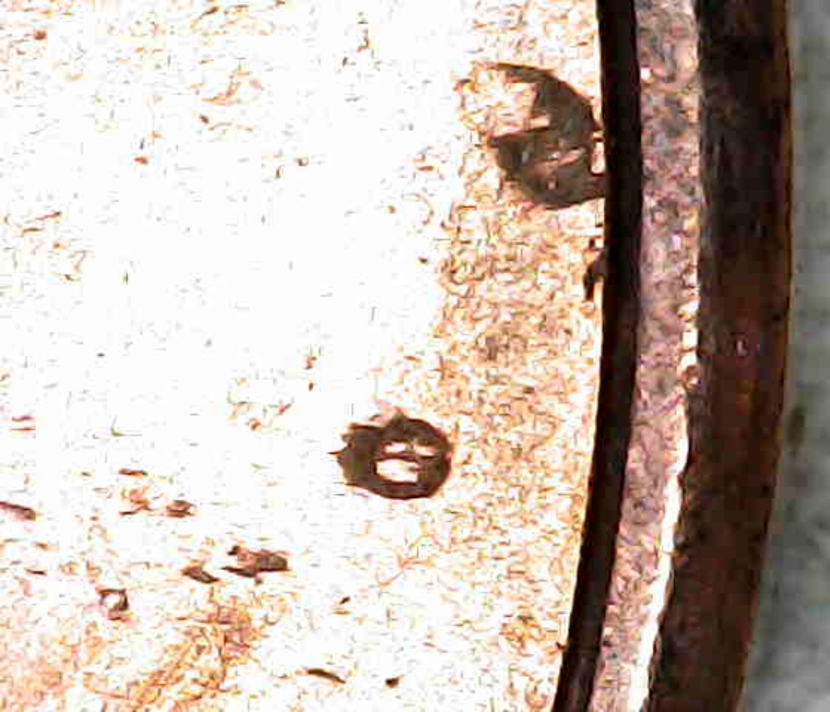 2022-Lincoln-Cent-Die-Chip-Monster-!-Help-Me-Confirm-?