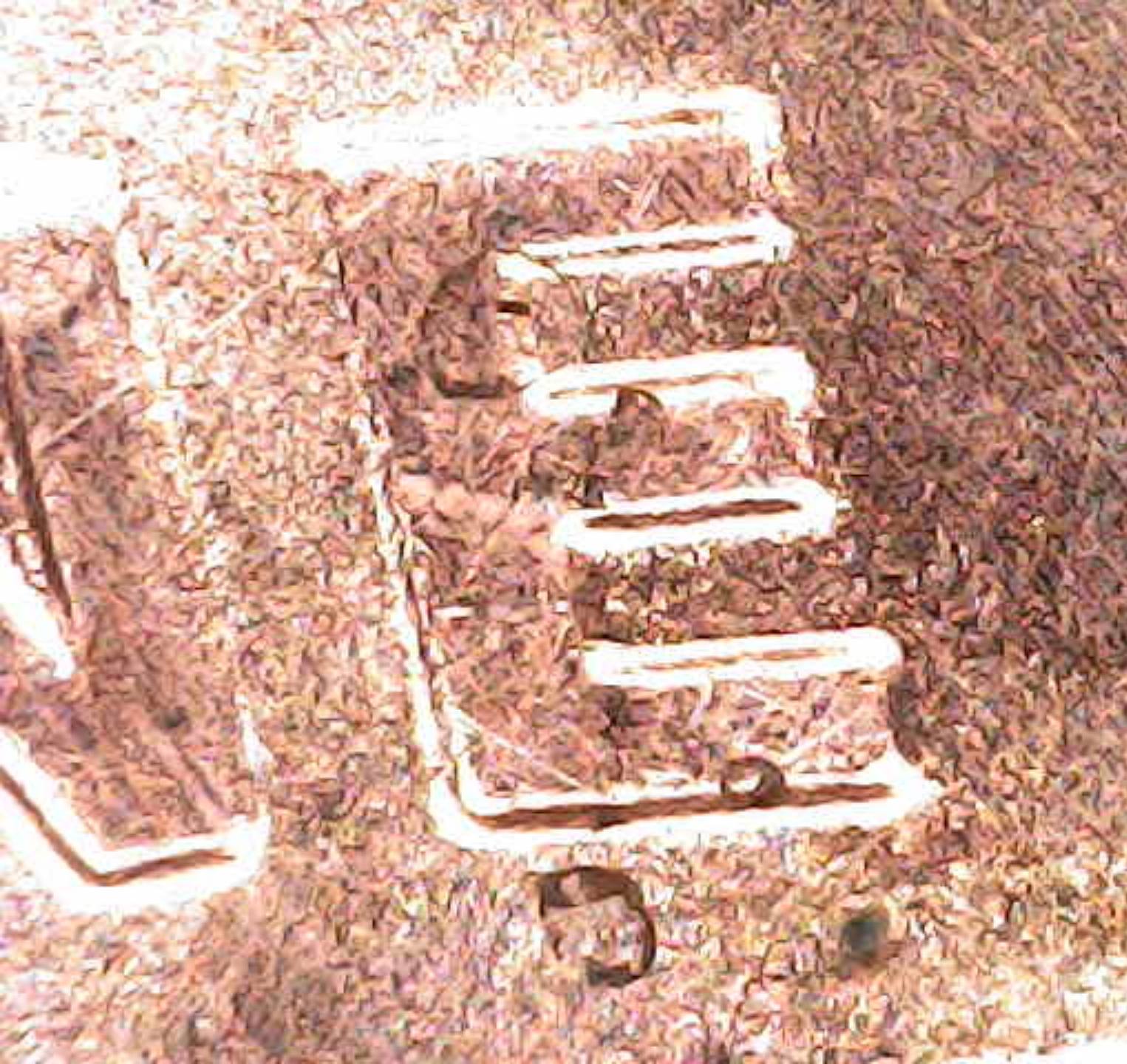 2022-Lincoln-Cent-Die-Chip-Monster-!-Help-Me-Confirm-?