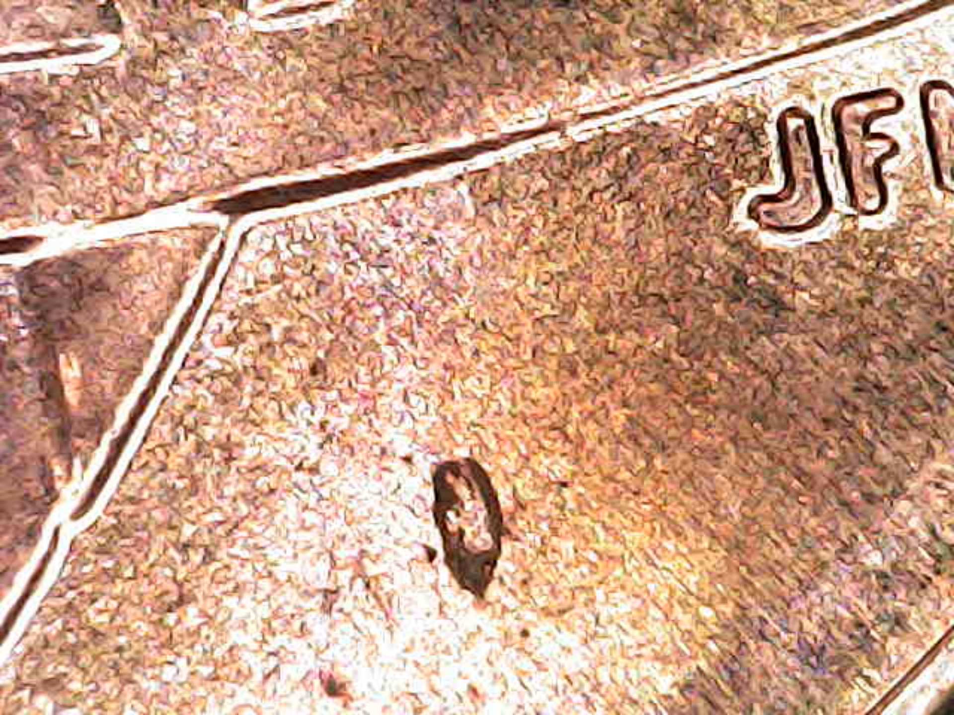 2022-Lincoln-Cent-Die-Chip-Monster-!-Help-Me-Confirm-?