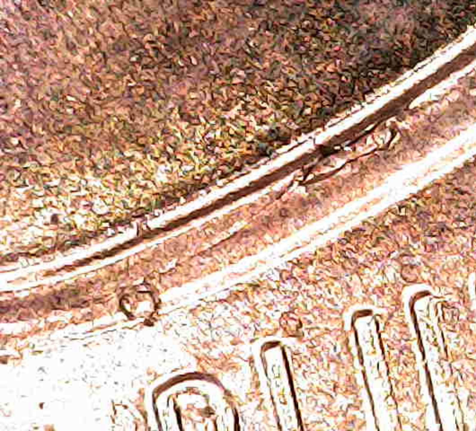2022-Lincoln-Cent-Die-Chip-Monster-!-Help-Me-Confirm-?