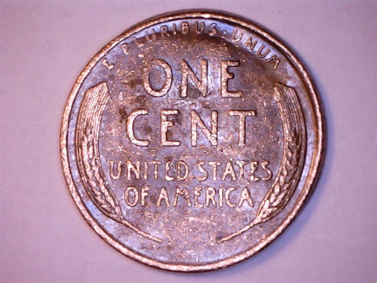 195?---P-Wheatie!-Finally!