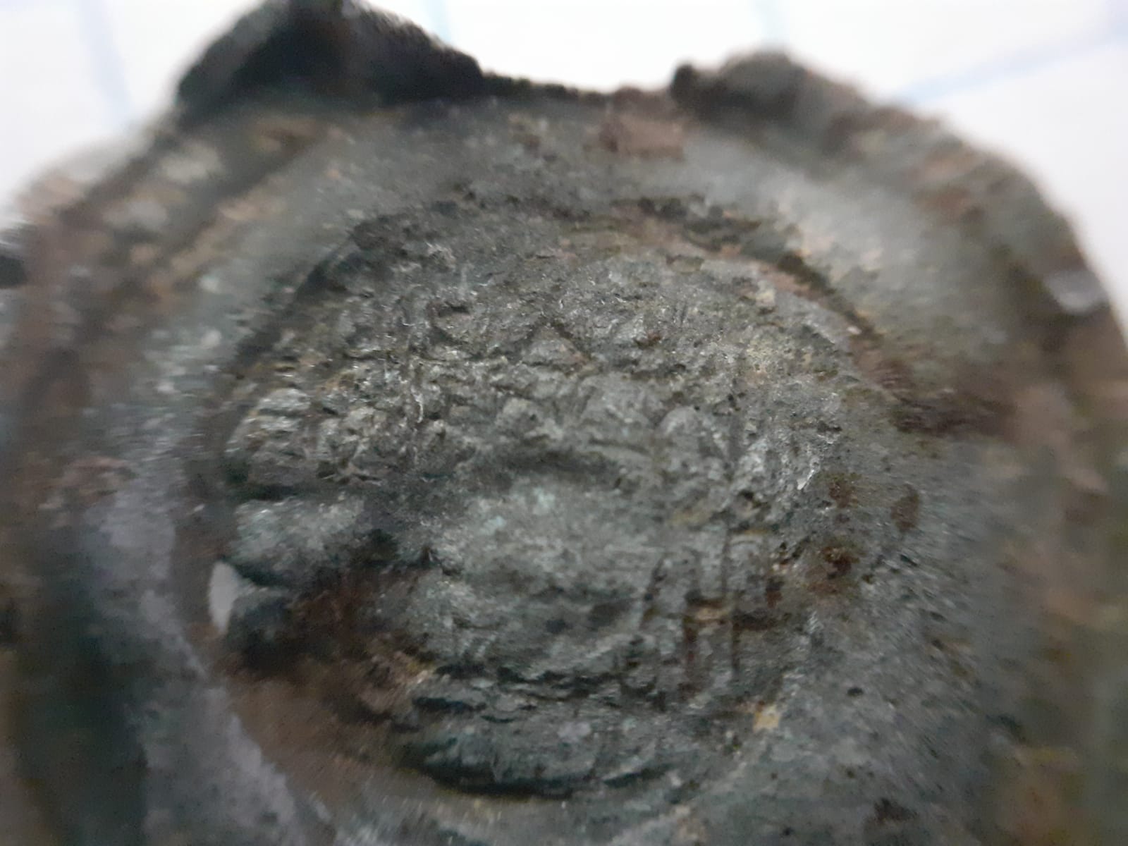 European-Medieval-Bracteata?-Need-Help-To-ID
