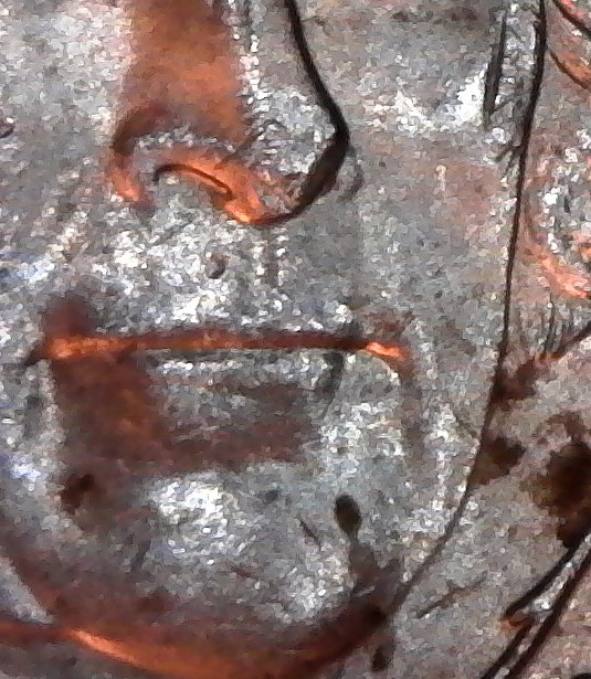 2015-P-Jefferson--Nickel-With-DDO?-Help-Please