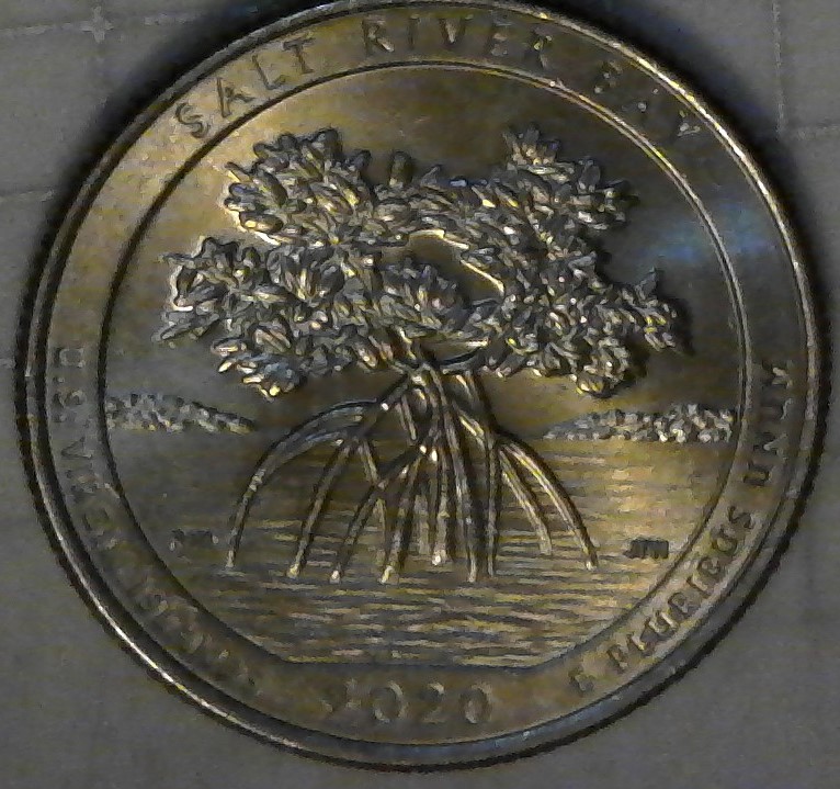 2020-US-Virgin-Island-Quarter-Is-This-A-Punch-Through-Debris-Or-Die-Chip?