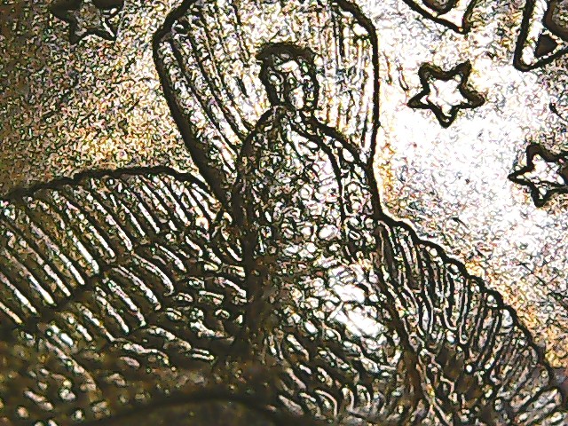 2000-P-Sacagewea-Coin-,-Is-This-A-Cheerio-Coin?-I-Added-Another-Coin-Please?