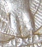 1981-D-Quarter-With-A-Lot-Going-On.